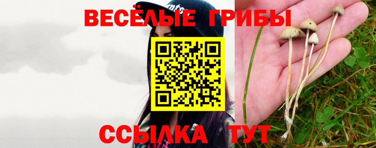Элиста  Псилоцибиновые грибы MAGIC MUSHROOMS  где купить наркоту  Вход с VPN 